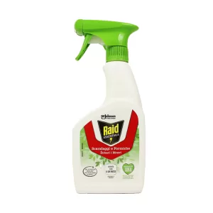RAID ESSENTIALS Scarafaggi e Formiche Insetticida Spray 500ml