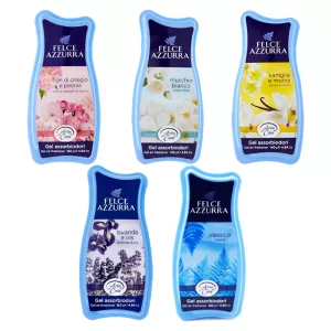 FELCE AZZURRA Aria di casa Gel Assorbiodori 140g